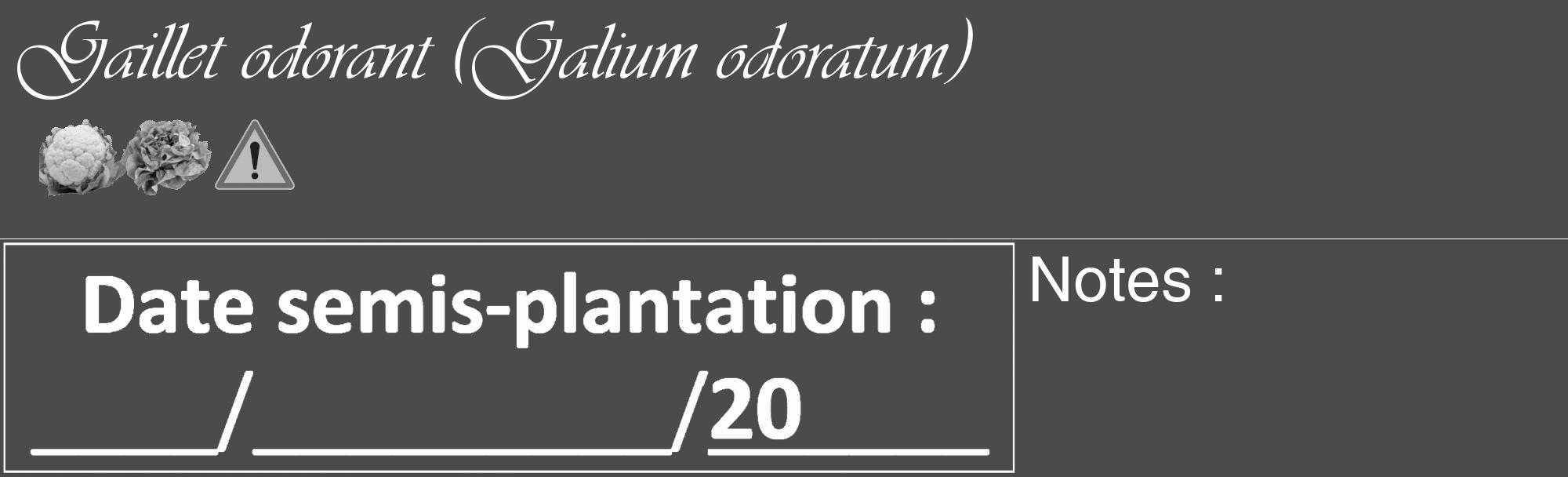 Étiquette de : Galium odoratum - format c - style blanche9_basique_basiqueviv avec comestibilité simplifiée