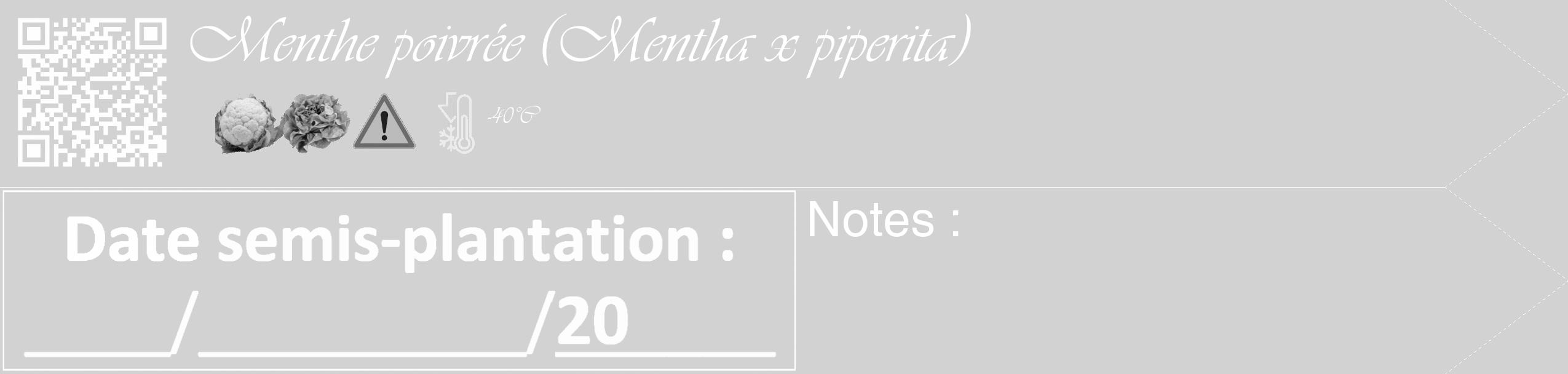 Étiquette de : Mentha x piperita - format c - style blanche14_simple_simpleviv avec qrcode et comestibilité simplifiée