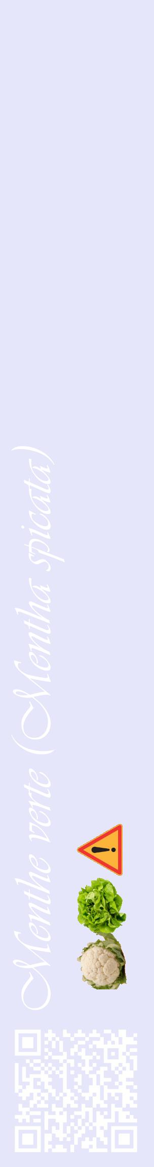 Étiquette de : Mentha spicata - format c - style blanche55_basiqueviv avec qrcode et comestibilité simplifiée