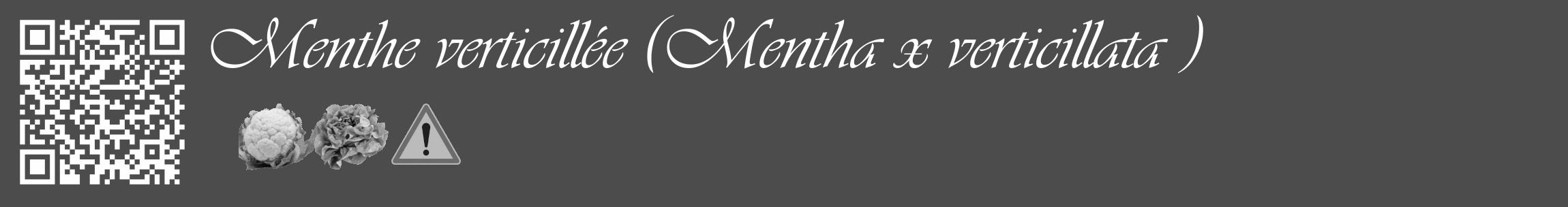 Étiquette de : Mentha x verticillata  - format c - style blanche27_basique_basiqueviv avec qrcode et comestibilité simplifiée