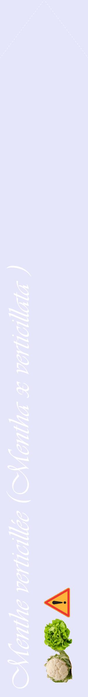 Étiquette de : Mentha x verticillata  - format c - style blanche55_simpleviv avec comestibilité simplifiée