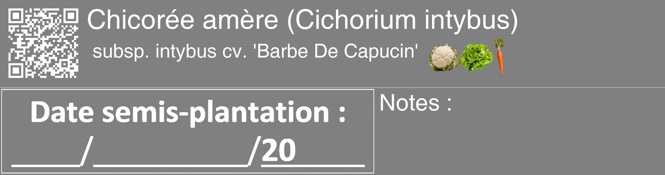 Étiquette de : Cichorium intybus subsp. intybus cv. 'Barbe De Capucin' - format c - style blanche57_basique_basiquehel avec qrcode et comestibilité simplifiée