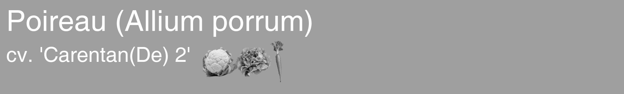 Étiquette de : Allium porrum cv. 'Carentan(De) 2' - format c - style blanche24_basique_basiquehel avec comestibilité simplifiée