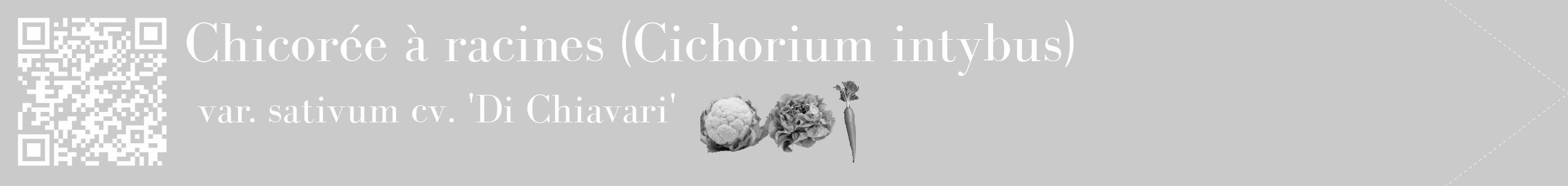 Étiquette de : Cichorium intybus var. sativum cv. 'Di Chiavari' - format c - style blanche21_simple_simplebod avec qrcode et comestibilité simplifiée