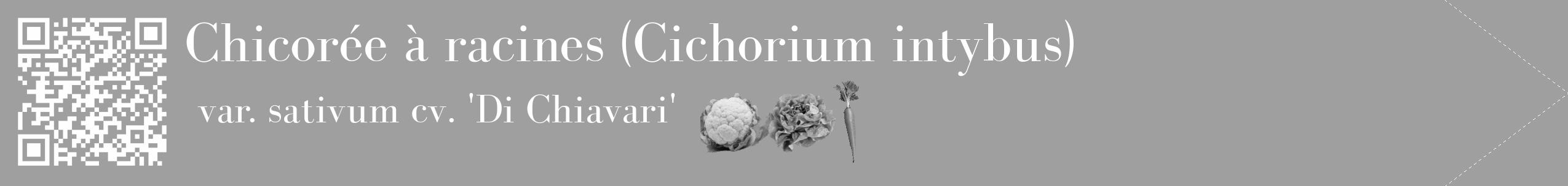Étiquette de : Cichorium intybus var. sativum cv. 'Di Chiavari' - format c - style blanche24_simple_simplebod avec qrcode et comestibilité simplifiée