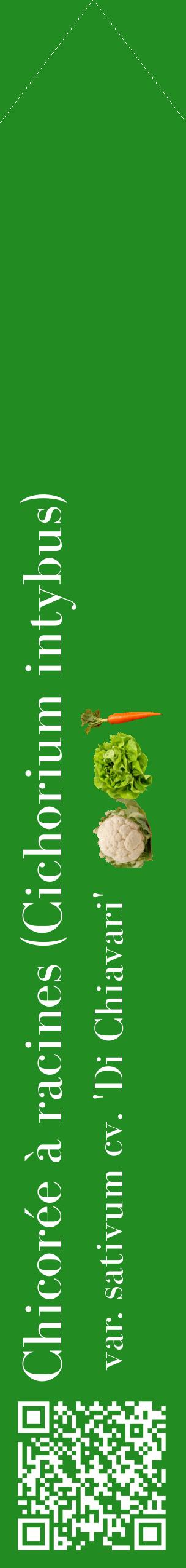 Étiquette de : Cichorium intybus var. sativum cv. 'Di Chiavari' - format c - style blanche10_simplebod avec qrcode et comestibilité simplifiée