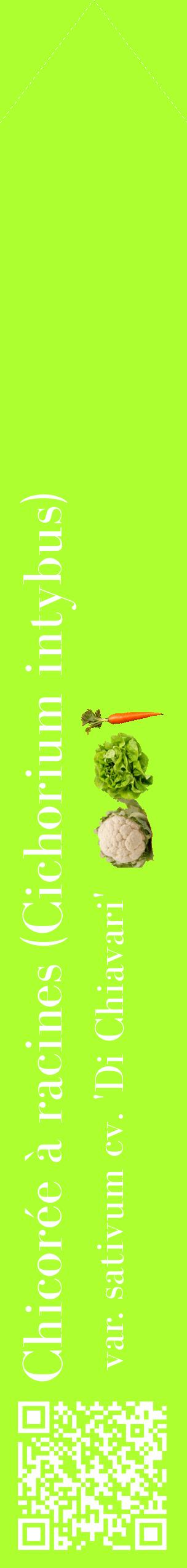 Étiquette de : Cichorium intybus var. sativum cv. 'Di Chiavari' - format c - style blanche17_simplebod avec qrcode et comestibilité simplifiée