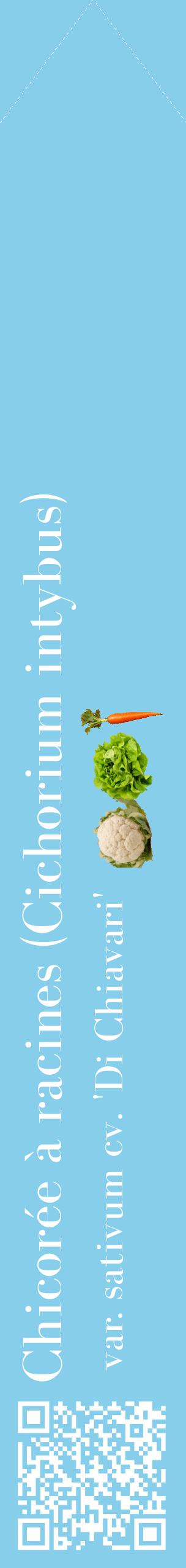 Étiquette de : Cichorium intybus var. sativum cv. 'Di Chiavari' - format c - style blanche1_simplebod avec qrcode et comestibilité simplifiée