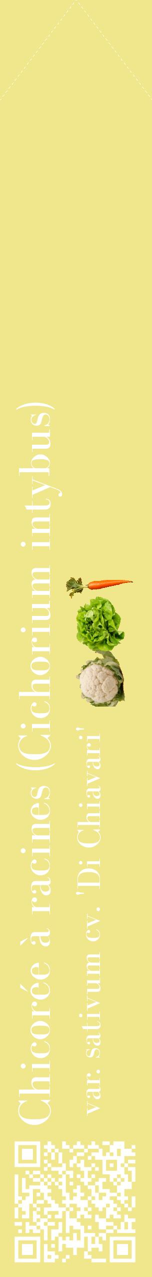 Étiquette de : Cichorium intybus var. sativum cv. 'Di Chiavari' - format c - style blanche20_simplebod avec qrcode et comestibilité simplifiée