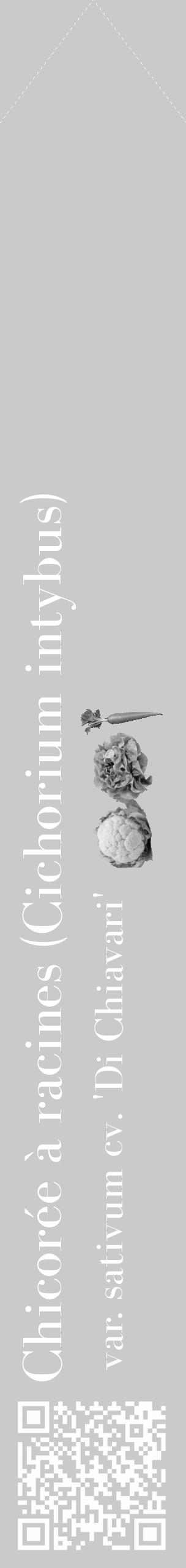 Étiquette de : Cichorium intybus var. sativum cv. 'Di Chiavari' - format c - style blanche21_simple_simplebod avec qrcode et comestibilité simplifiée - position verticale