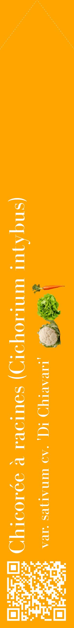 Étiquette de : Cichorium intybus var. sativum cv. 'Di Chiavari' - format c - style blanche22_simplebod avec qrcode et comestibilité simplifiée