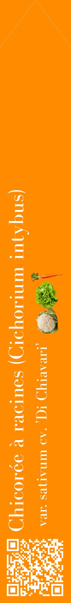 Étiquette de : Cichorium intybus var. sativum cv. 'Di Chiavari' - format c - style blanche23_simplebod avec qrcode et comestibilité simplifiée