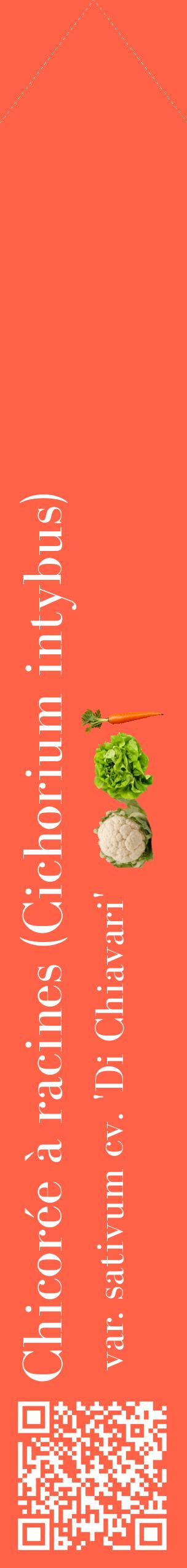 Étiquette de : Cichorium intybus var. sativum cv. 'Di Chiavari' - format c - style blanche25_simplebod avec qrcode et comestibilité simplifiée