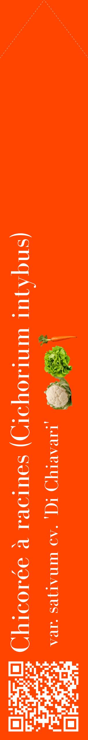 Étiquette de : Cichorium intybus var. sativum cv. 'Di Chiavari' - format c - style blanche26_simplebod avec qrcode et comestibilité simplifiée