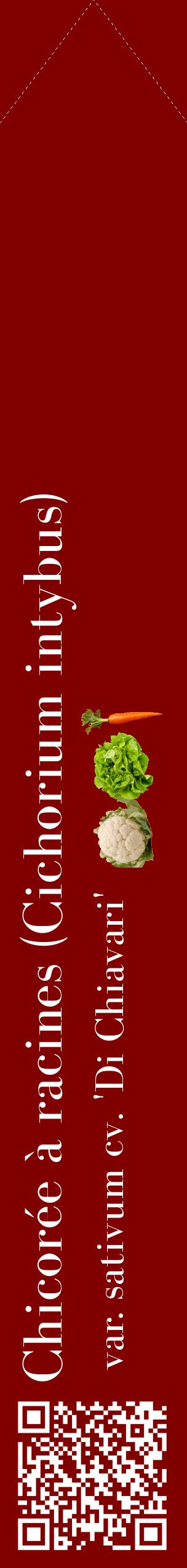 Étiquette de : Cichorium intybus var. sativum cv. 'Di Chiavari' - format c - style blanche29_simplebod avec qrcode et comestibilité simplifiée