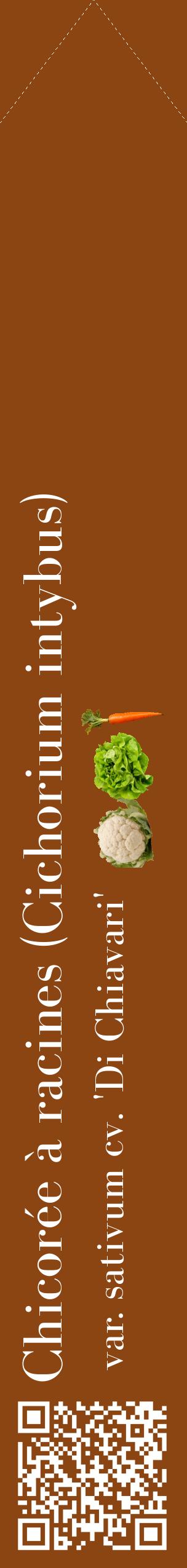 Étiquette de : Cichorium intybus var. sativum cv. 'Di Chiavari' - format c - style blanche30_simplebod avec qrcode et comestibilité simplifiée