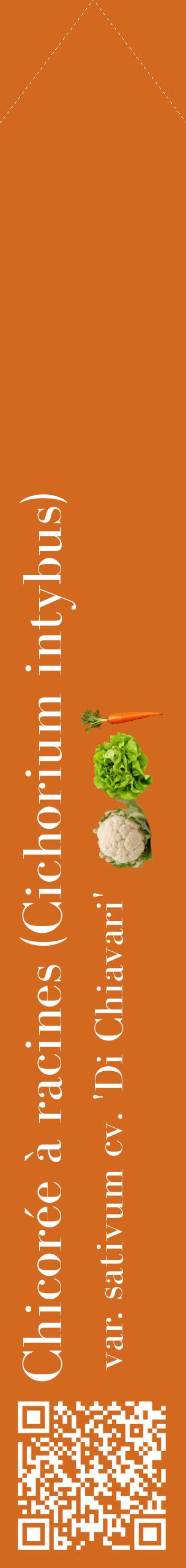 Étiquette de : Cichorium intybus var. sativum cv. 'Di Chiavari' - format c - style blanche31_simplebod avec qrcode et comestibilité simplifiée