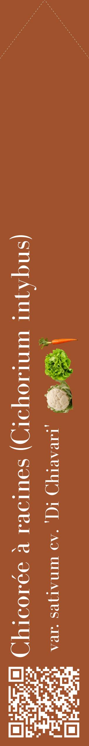 Étiquette de : Cichorium intybus var. sativum cv. 'Di Chiavari' - format c - style blanche32_simplebod avec qrcode et comestibilité simplifiée
