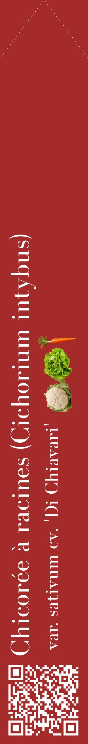 Étiquette de : Cichorium intybus var. sativum cv. 'Di Chiavari' - format c - style blanche33_simplebod avec qrcode et comestibilité simplifiée