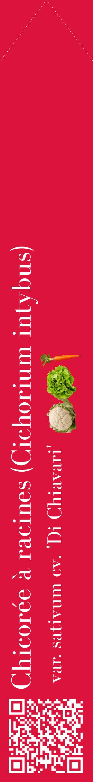 Étiquette de : Cichorium intybus var. sativum cv. 'Di Chiavari' - format c - style blanche36_simplebod avec qrcode et comestibilité simplifiée