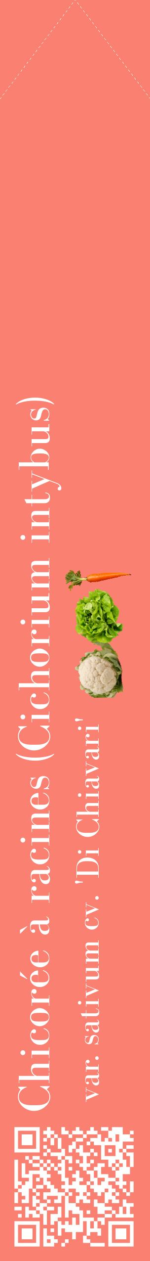 Étiquette de : Cichorium intybus var. sativum cv. 'Di Chiavari' - format c - style blanche38_simplebod avec qrcode et comestibilité simplifiée