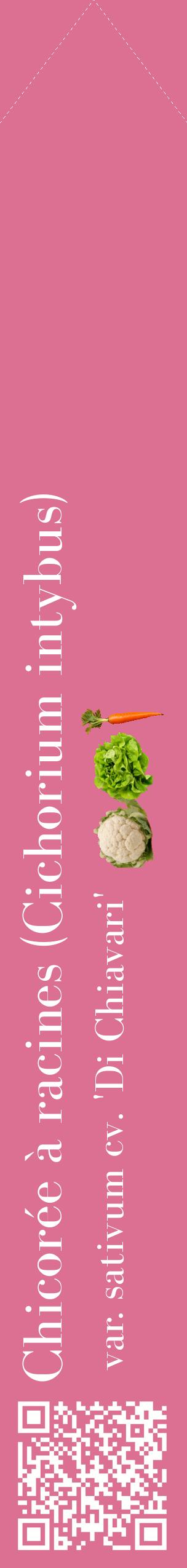 Étiquette de : Cichorium intybus var. sativum cv. 'Di Chiavari' - format c - style blanche44_simplebod avec qrcode et comestibilité simplifiée