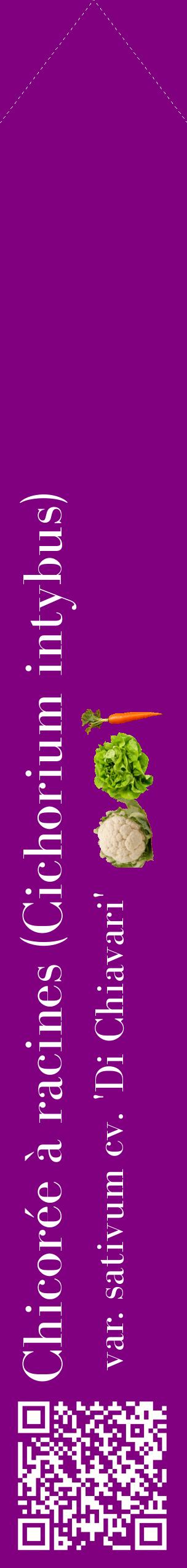 Étiquette de : Cichorium intybus var. sativum cv. 'Di Chiavari' - format c - style blanche46_simplebod avec qrcode et comestibilité simplifiée