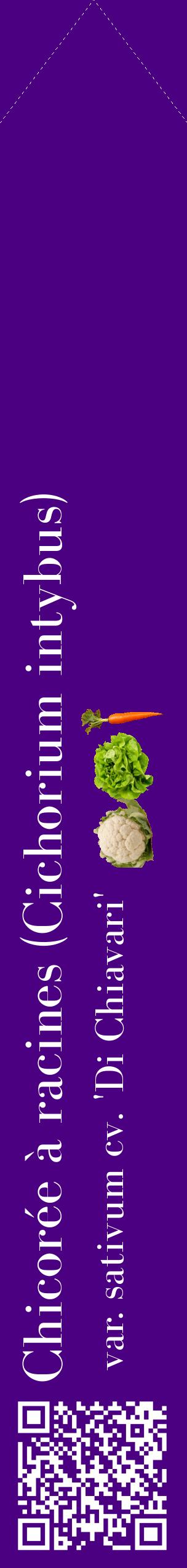 Étiquette de : Cichorium intybus var. sativum cv. 'Di Chiavari' - format c - style blanche47_simplebod avec qrcode et comestibilité simplifiée