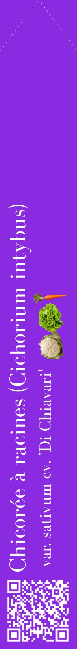 Étiquette de : Cichorium intybus var. sativum cv. 'Di Chiavari' - format c - style blanche49_simplebod avec qrcode et comestibilité simplifiée
