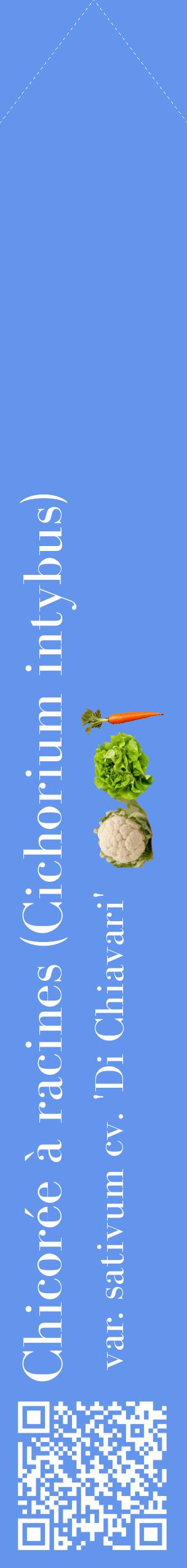 Étiquette de : Cichorium intybus var. sativum cv. 'Di Chiavari' - format c - style blanche4_simplebod avec qrcode et comestibilité simplifiée