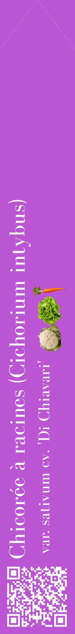 Étiquette de : Cichorium intybus var. sativum cv. 'Di Chiavari' - format c - style blanche50_simplebod avec qrcode et comestibilité simplifiée