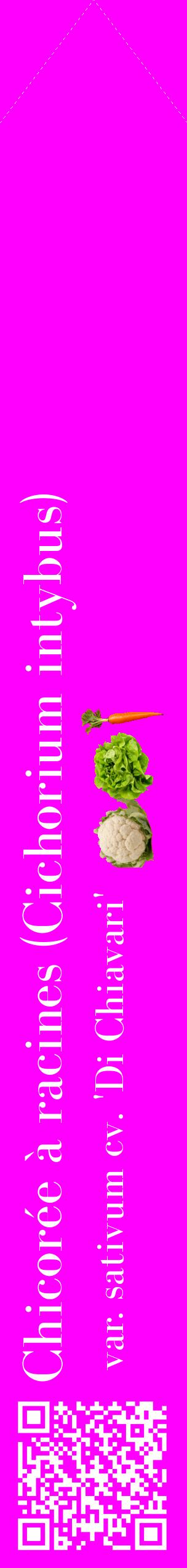 Étiquette de : Cichorium intybus var. sativum cv. 'Di Chiavari' - format c - style blanche51_simplebod avec qrcode et comestibilité simplifiée