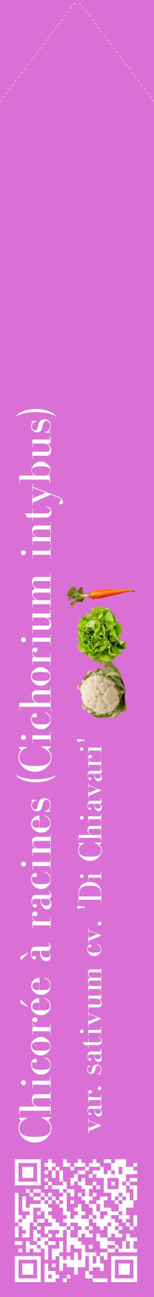 Étiquette de : Cichorium intybus var. sativum cv. 'Di Chiavari' - format c - style blanche52_simplebod avec qrcode et comestibilité simplifiée