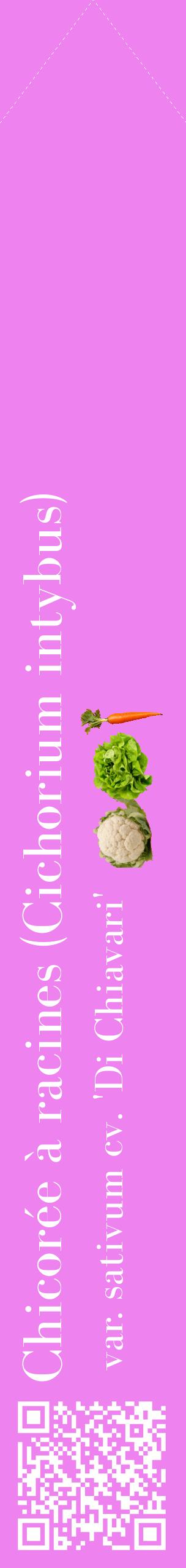 Étiquette de : Cichorium intybus var. sativum cv. 'Di Chiavari' - format c - style blanche53_simplebod avec qrcode et comestibilité simplifiée