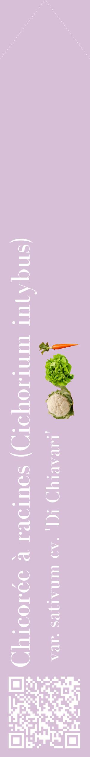Étiquette de : Cichorium intybus var. sativum cv. 'Di Chiavari' - format c - style blanche54_simplebod avec qrcode et comestibilité simplifiée