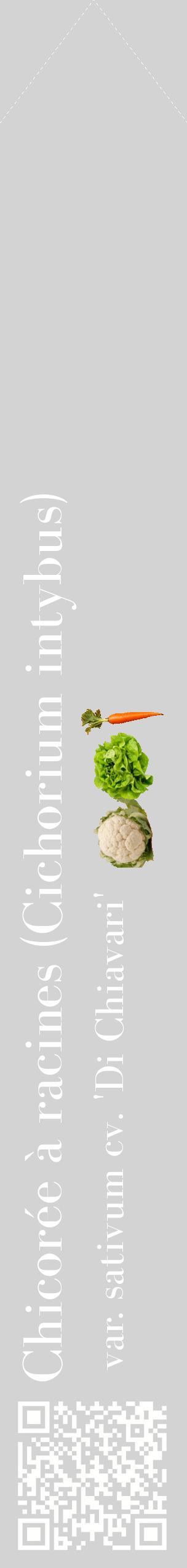Étiquette de : Cichorium intybus var. sativum cv. 'Di Chiavari' - format c - style blanche56_simplebod avec qrcode et comestibilité simplifiée