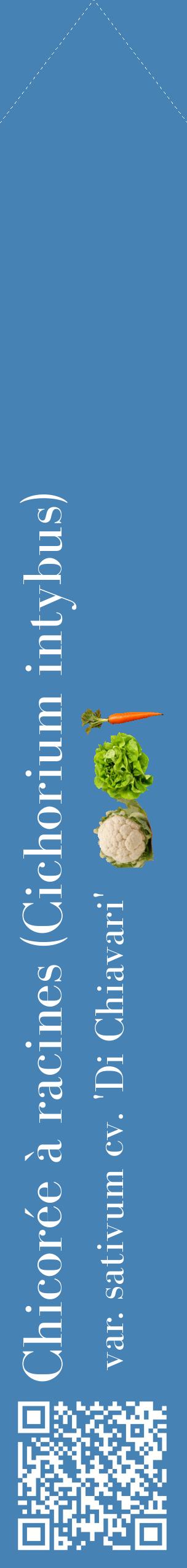 Étiquette de : Cichorium intybus var. sativum cv. 'Di Chiavari' - format c - style blanche5_simplebod avec qrcode et comestibilité simplifiée