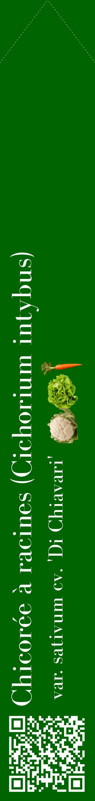 Étiquette de : Cichorium intybus var. sativum cv. 'Di Chiavari' - format c - style blanche8_simplebod avec qrcode et comestibilité simplifiée