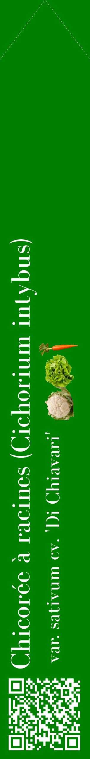 Étiquette de : Cichorium intybus var. sativum cv. 'Di Chiavari' - format c - style blanche9_simplebod avec qrcode et comestibilité simplifiée