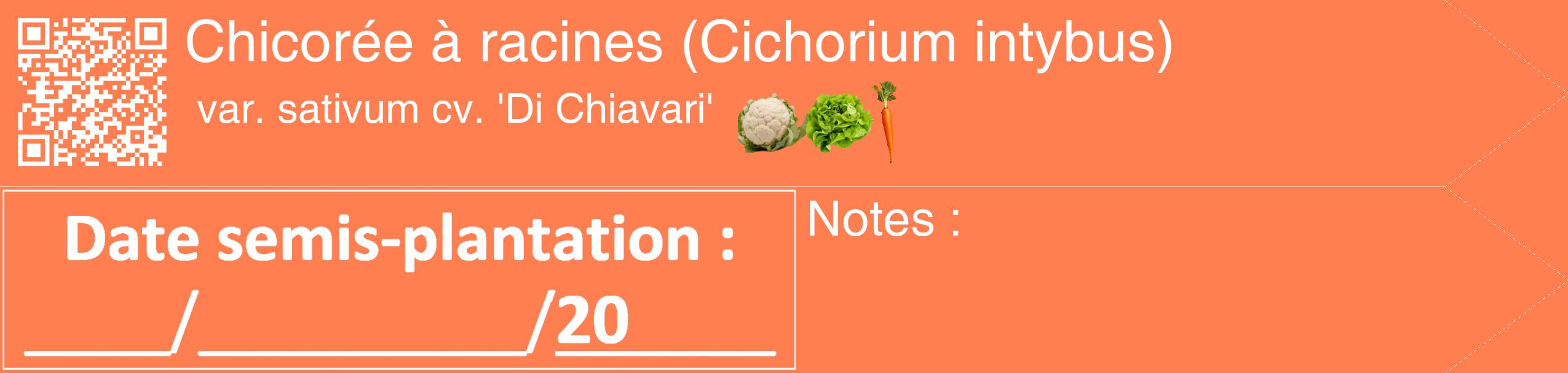 Étiquette de : Cichorium intybus var. sativum cv. 'Di Chiavari' - format c - style blanche24_simple_simplehel avec qrcode et comestibilité simplifiée