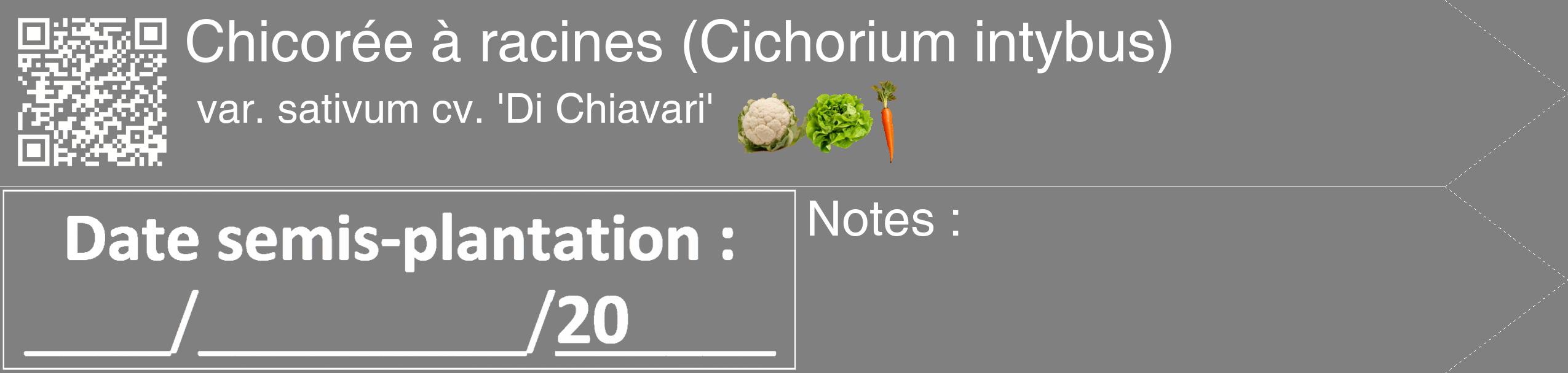 Étiquette de : Cichorium intybus var. sativum cv. 'Di Chiavari' - format c - style blanche57_simple_simplehel avec qrcode et comestibilité simplifiée