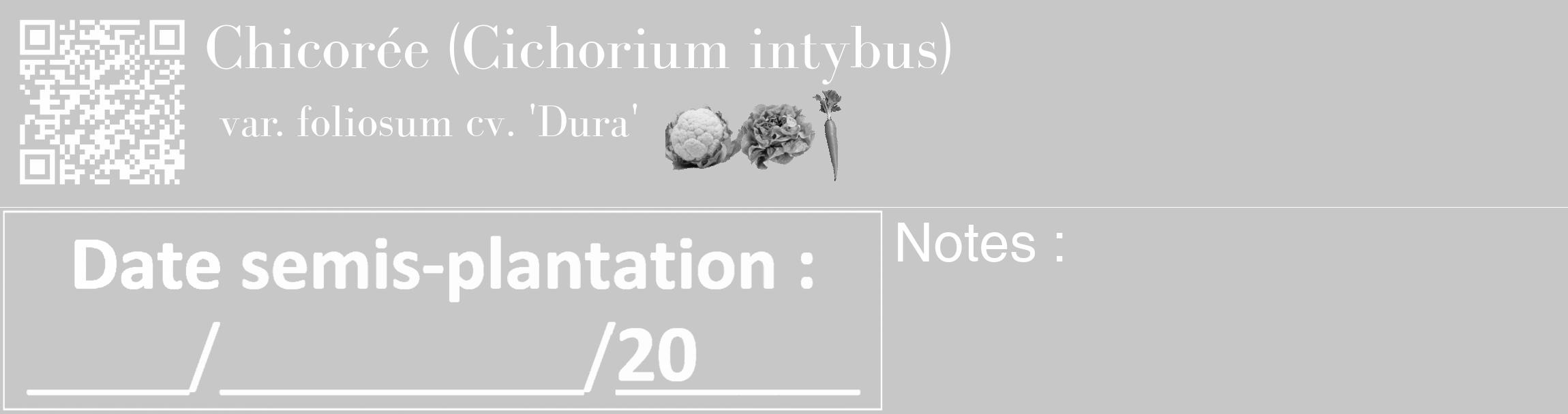 Étiquette de : Cichorium intybus var. foliosum cv. 'Dura' - format c - style blanche15_basique_basiquebod avec qrcode et comestibilité simplifiée