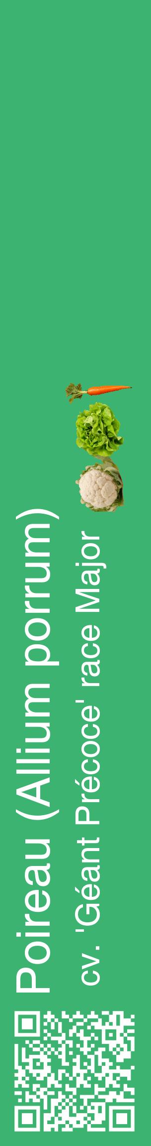Étiquette de : Allium porrum cv. 'Géant Précoce' race Major - format c - style blanche12_basiquehel avec qrcode et comestibilité simplifiée