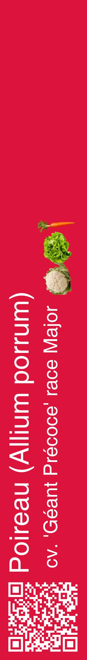 Étiquette de : Allium porrum cv. 'Géant Précoce' race Major - format c - style blanche36_basiquehel avec qrcode et comestibilité simplifiée