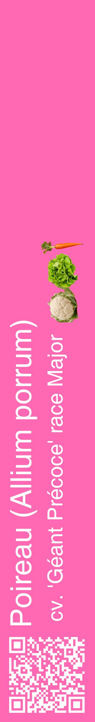 Étiquette de : Allium porrum cv. 'Géant Précoce' race Major - format c - style blanche42_basiquehel avec qrcode et comestibilité simplifiée