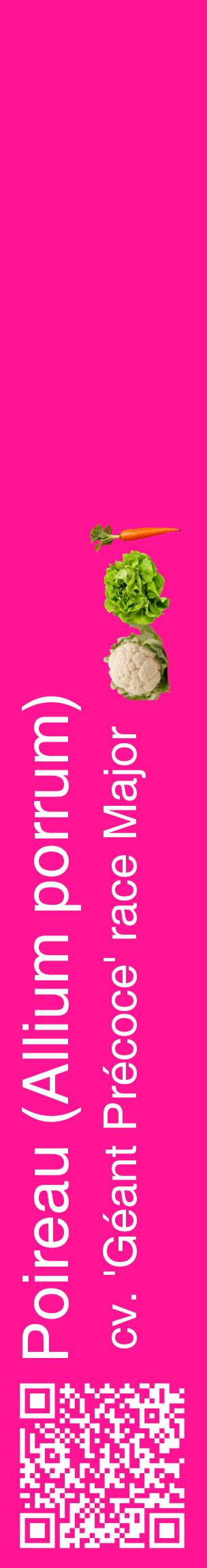 Étiquette de : Allium porrum cv. 'Géant Précoce' race Major - format c - style blanche43_basiquehel avec qrcode et comestibilité simplifiée
