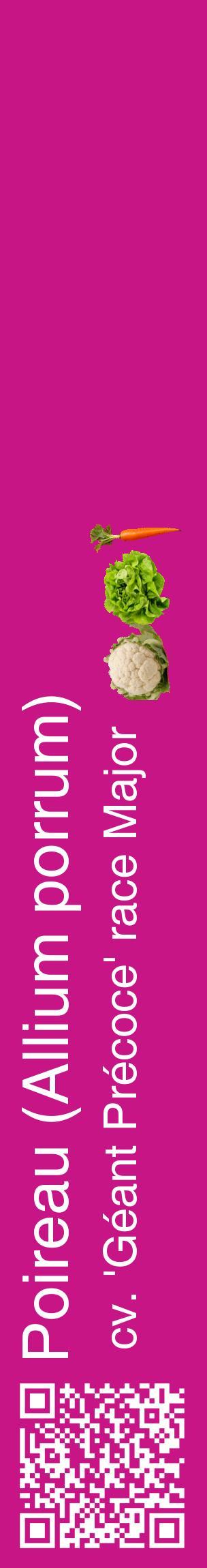 Étiquette de : Allium porrum cv. 'Géant Précoce' race Major - format c - style blanche45_basiquehel avec qrcode et comestibilité simplifiée