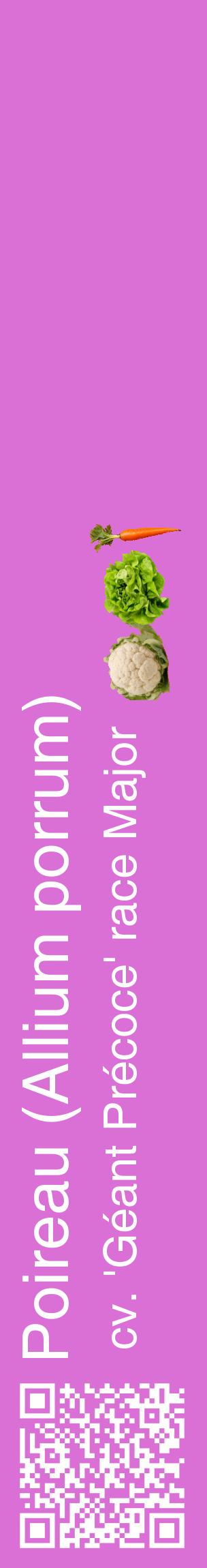 Étiquette de : Allium porrum cv. 'Géant Précoce' race Major - format c - style blanche52_basiquehel avec qrcode et comestibilité simplifiée