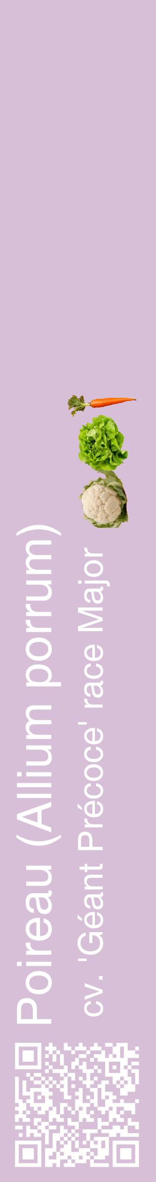 Étiquette de : Allium porrum cv. 'Géant Précoce' race Major - format c - style blanche54_basiquehel avec qrcode et comestibilité simplifiée
