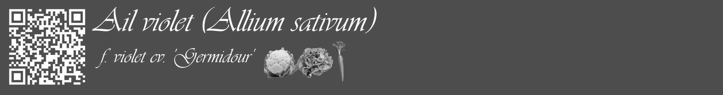 Étiquette de : Allium sativum f. violet cv. 'Germidour' - format c - style blanche33_basique_basiqueviv avec qrcode et comestibilité simplifiée